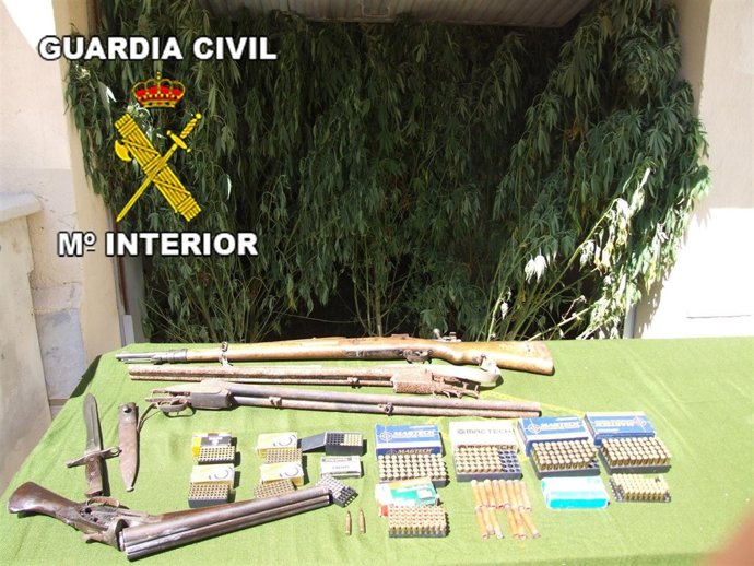 Plantación Desmantelada En Cartagena