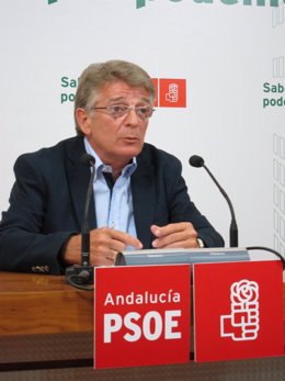 Secretario Provincial Del PSOE De Cádiz, González Cabaña