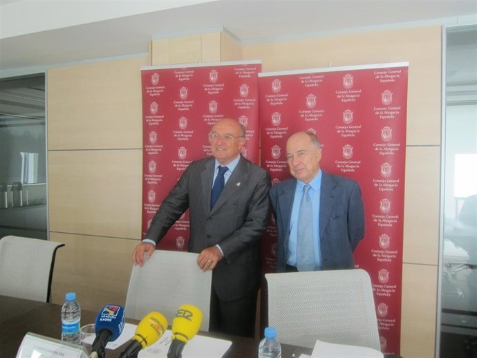 Carlos Carnicer, Presidente Abogacia Española