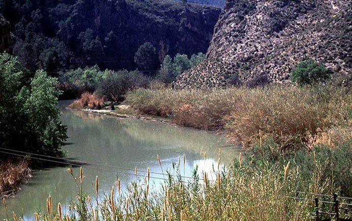 Valores Naturales De La Región