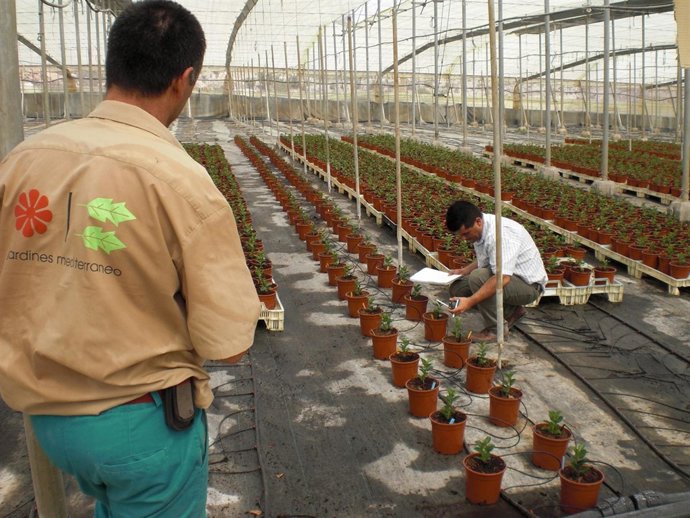 Centro De Innovación Medioambiental De Fundación Cajamar