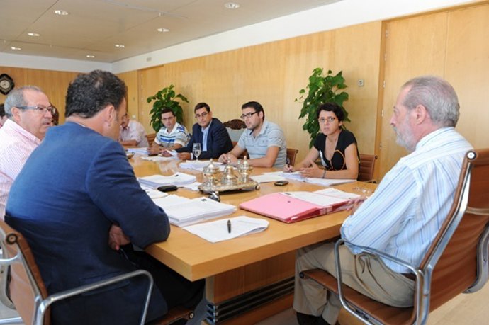 Reunión Del Consejo De Coordinación Territorial De La Diputación De Sevilla
