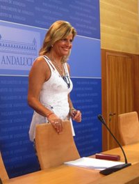 PP-A enviará al Tribunal de Cuentas los informes internos realizados por la Consejería de Empleo sobre los ERE