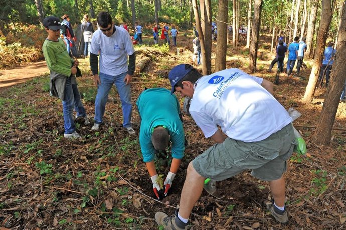 Campaña De Reforestación De Cajacanarias Banca Cívica