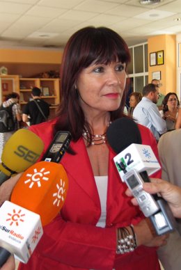 La Consejera Para La Igualdad, Micaela Navarro, Hoy Ante Los Medios