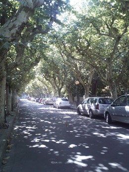 Calle Del Parque, En Huesca