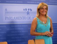 PP-A presentará "recurso de amparo" tras la decisión del TS