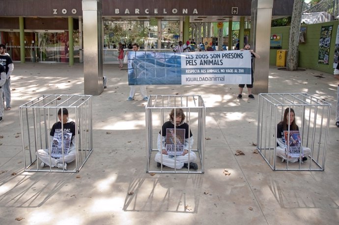 Protesta De Igualdad Animal Ante El Zoo De Barcelona