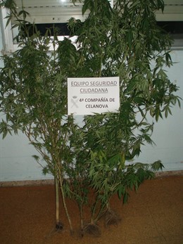 Rdo Novedades Día 15 De Septiembre