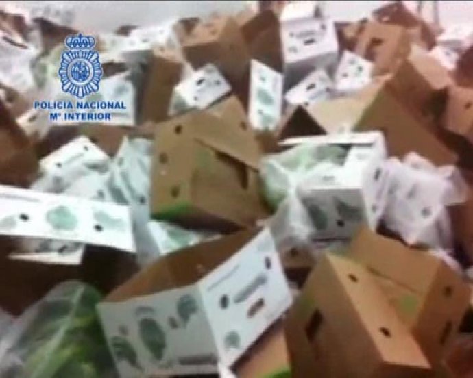 La Policía Interviene 450 Kilos De Coca En Plátanos