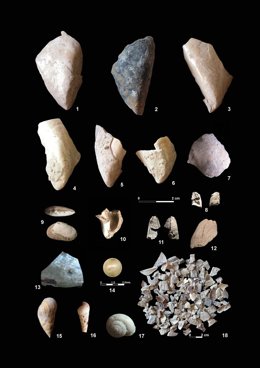 Restos De Conchas Y Otros Recursos Encontrados En El Yacimiento