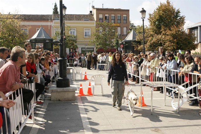 Foto Del Día De La Once En Aranjuez