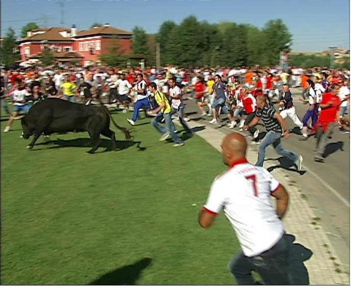 Imagen Del Toro De Vega