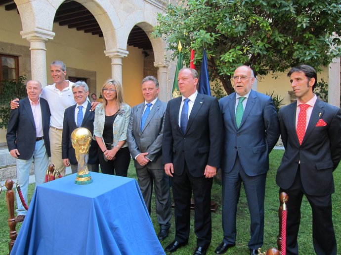 Recepción Copa Del Mundo De Fútbol 2010