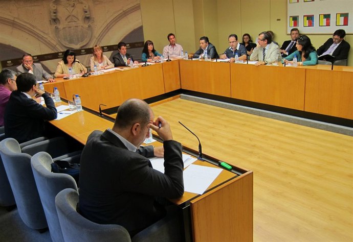 Comisión Institucional, De Desarrollo Estatutario Y De Adimnistración 