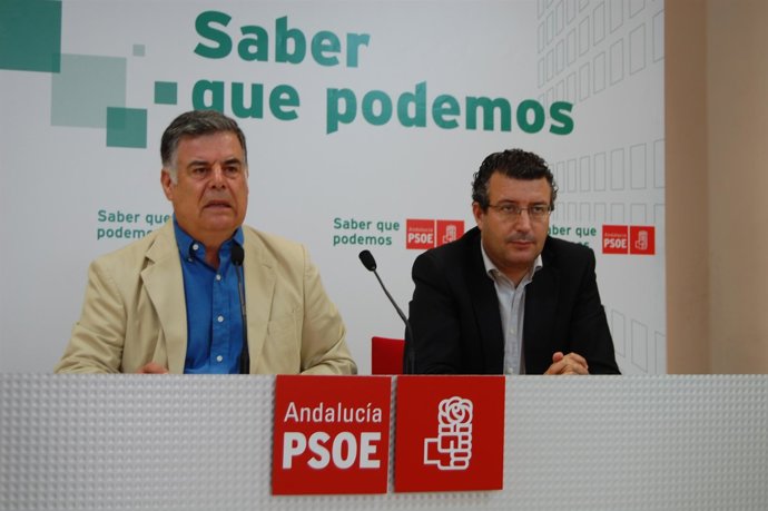 Viera Defiende El Proyecto De La SE-40.