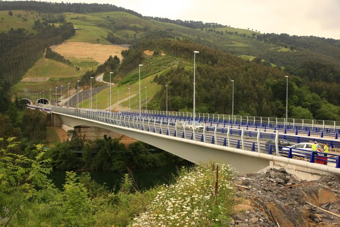 Variante Sur Metropolitana