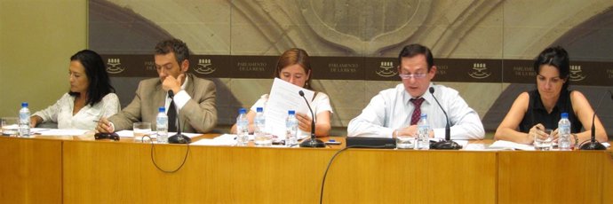 Erro En La Comparecencia De Industria