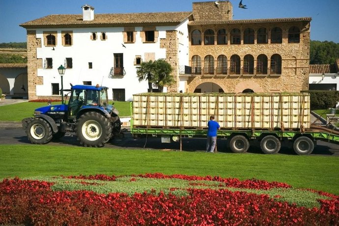 Heredad Segura Dueñas