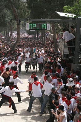 La carrera de los caballos del vino