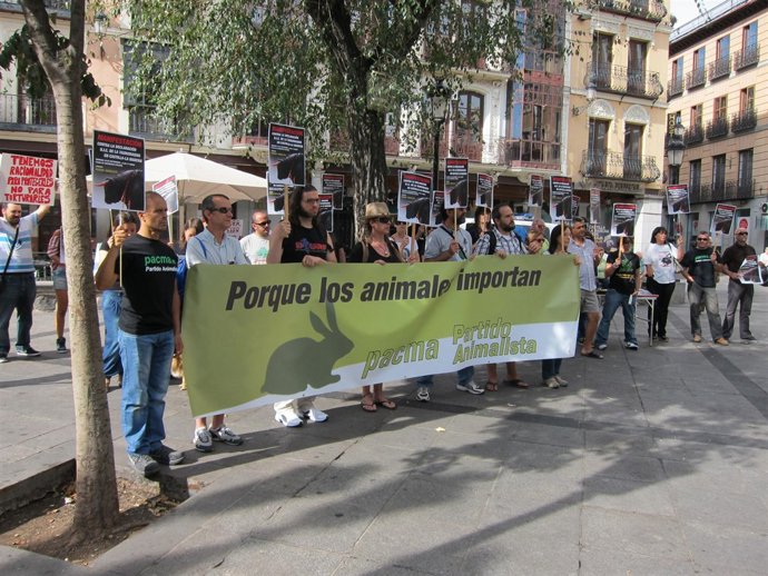 Concentración Pacma