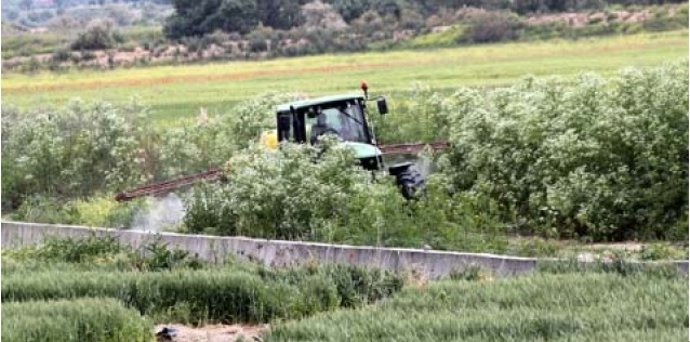 Tractor Fumigando En El Canal Del Jarama