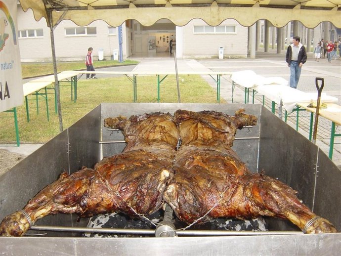 Degustación Ternera