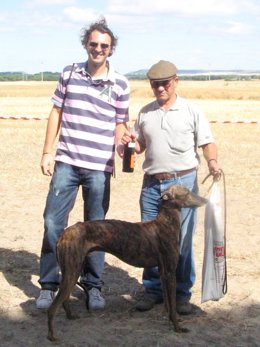 Uno De Los Galgos Ganadores En Las Jornadas De Caza, Junto A Su Dueño