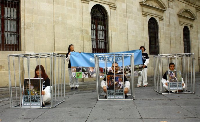 Activistas De Igualdad Animal "Enjaulados" En La Plaza Nueva