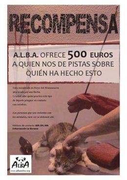 Cartel De Recompensa