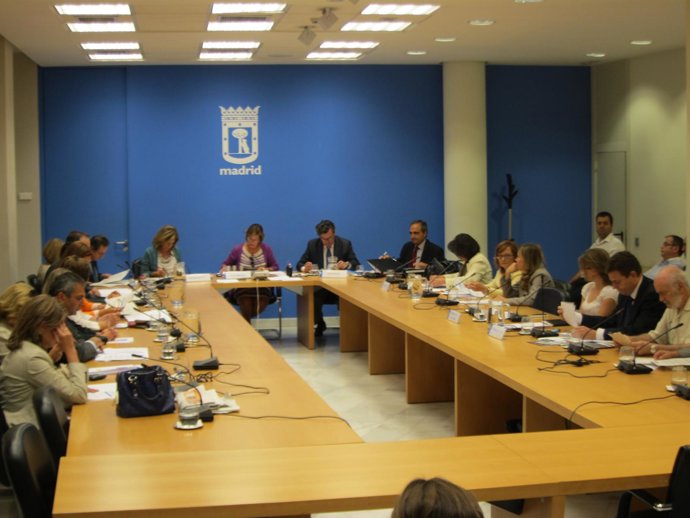 Comisión De Medio Ambiente Del Ayuntamiento De Madrid