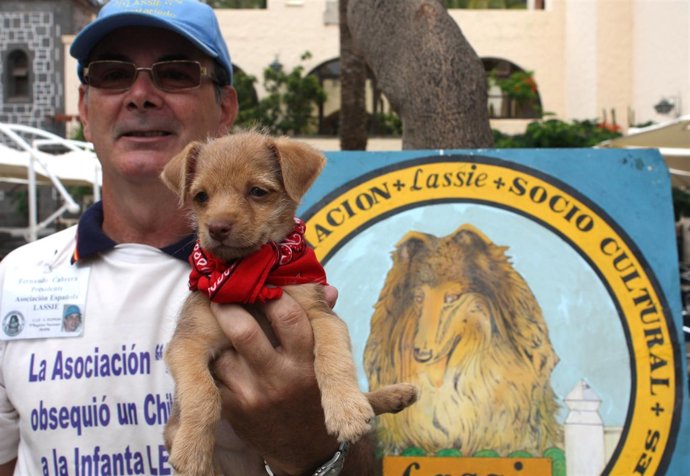 El Cachorro Panchito, Obsequio A Maná, Junto Al Presidente De Lassie, F. Cabrera