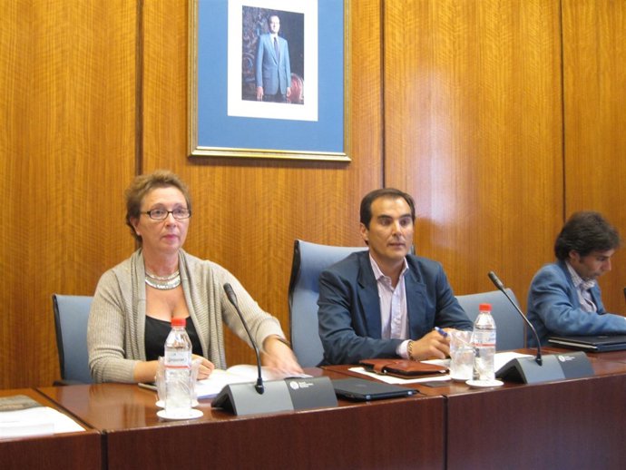 La Consejera De Hacienda Y Administración Pública, Carmen Martínez Aguayo