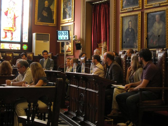 Pleno Del Ayuntamiento De Palma