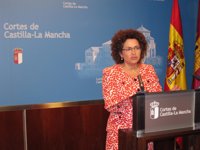 PP pone en duda "muchas cosas" del desmentido de Economía en el que se niega que Barreda planease privatizaciones