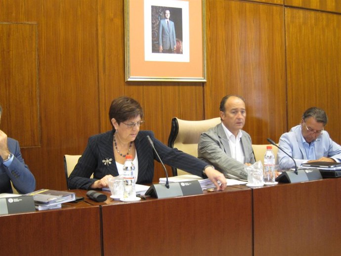 La Consejera De Obras Públicas Y Vivienda, Josefina Cruz, En Comisión 