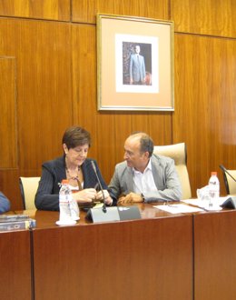 La Consejera De Obras Públicas Y Vivienda, Josefina Cruz