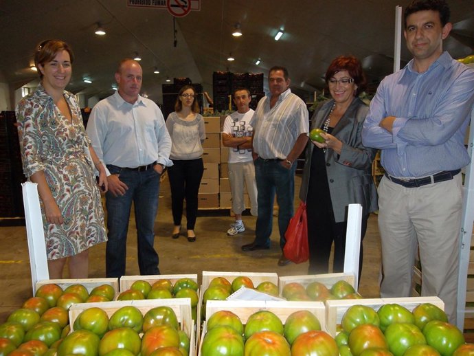Productores De Tomates De Zafarraya Piden El Apoyo De La  Junta