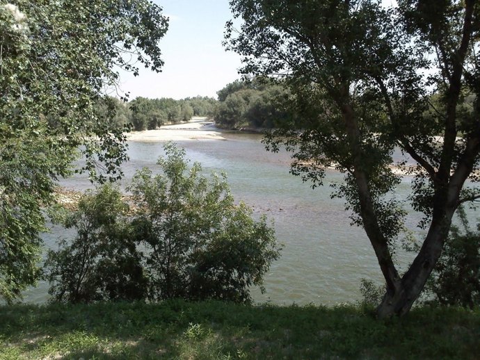Desembocadura Del Gállego En El Ebro, En Zaragoza