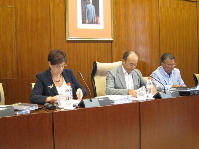 La Consejera De Obras Públicas Y Transportes, Josefina Cruz