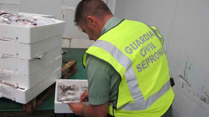 La Guardia Civil Decomisa 651 Kilos De Pescado Inmaduro