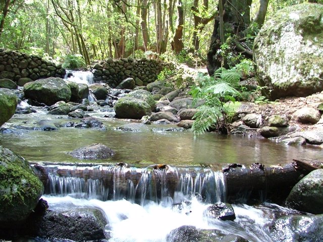 Parque Nacional Garajonay En La Isla De La Gomera