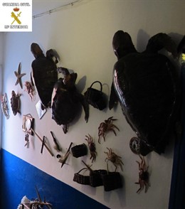 Pared De La Vivienda