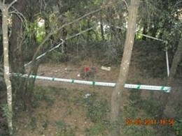 Zona De Uno De Los Incendios