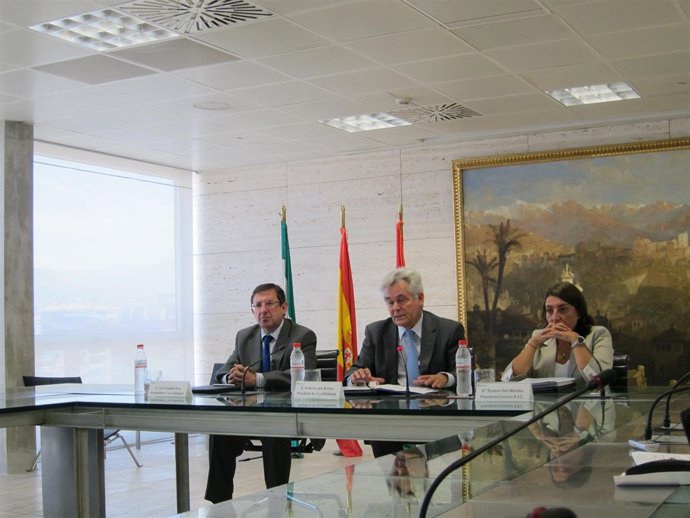 PresentaciNi Informe RSC Cajagranada