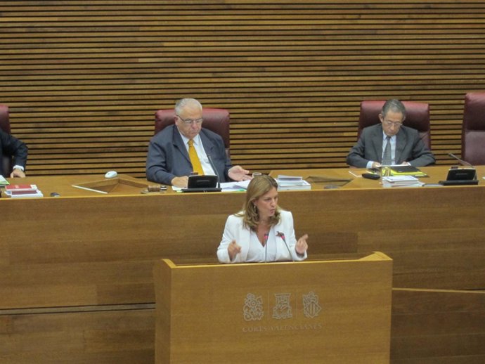 Sánchez De León En Su Comparecencia En Las Corts