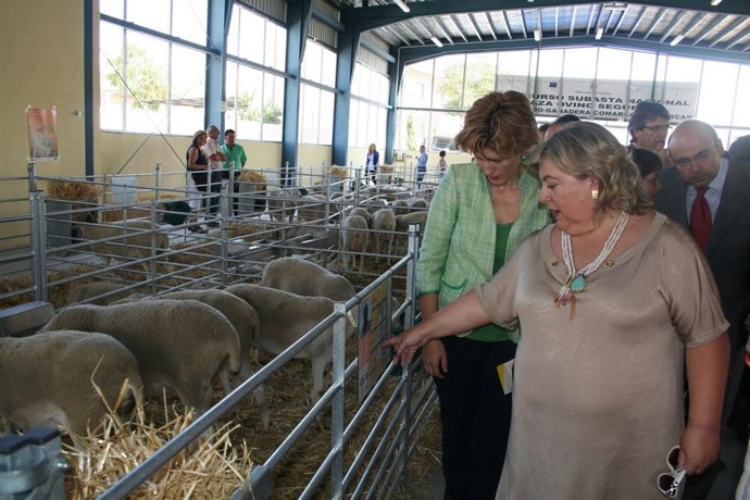 La Consejera De Agricultura En La Feria De Huéscar