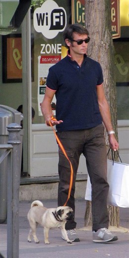 Sebastián Palomo Danko Paseando Al Perro 