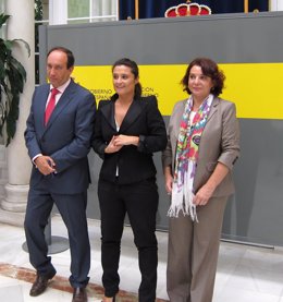 La Secretaria De Estado De Igualdad, Laura Seara, Preside Reunión En Sevill