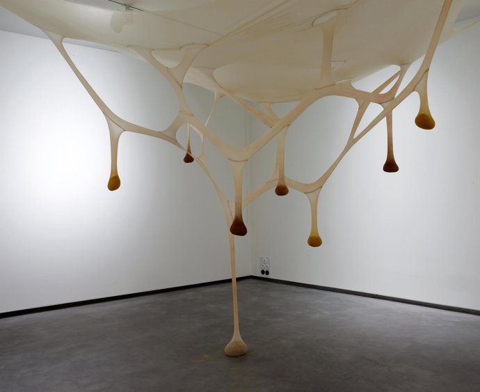 Planta Del Centro De Artes Visuales Fundación Helga De Alvear